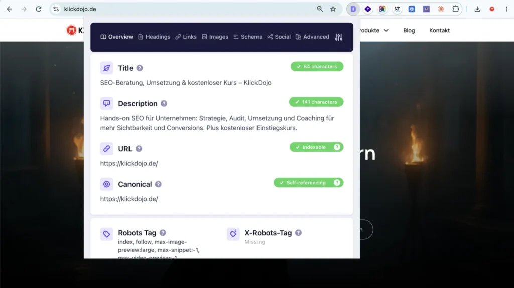 Detailed SEO Extension, Overview-Tab auf klickdojo.de