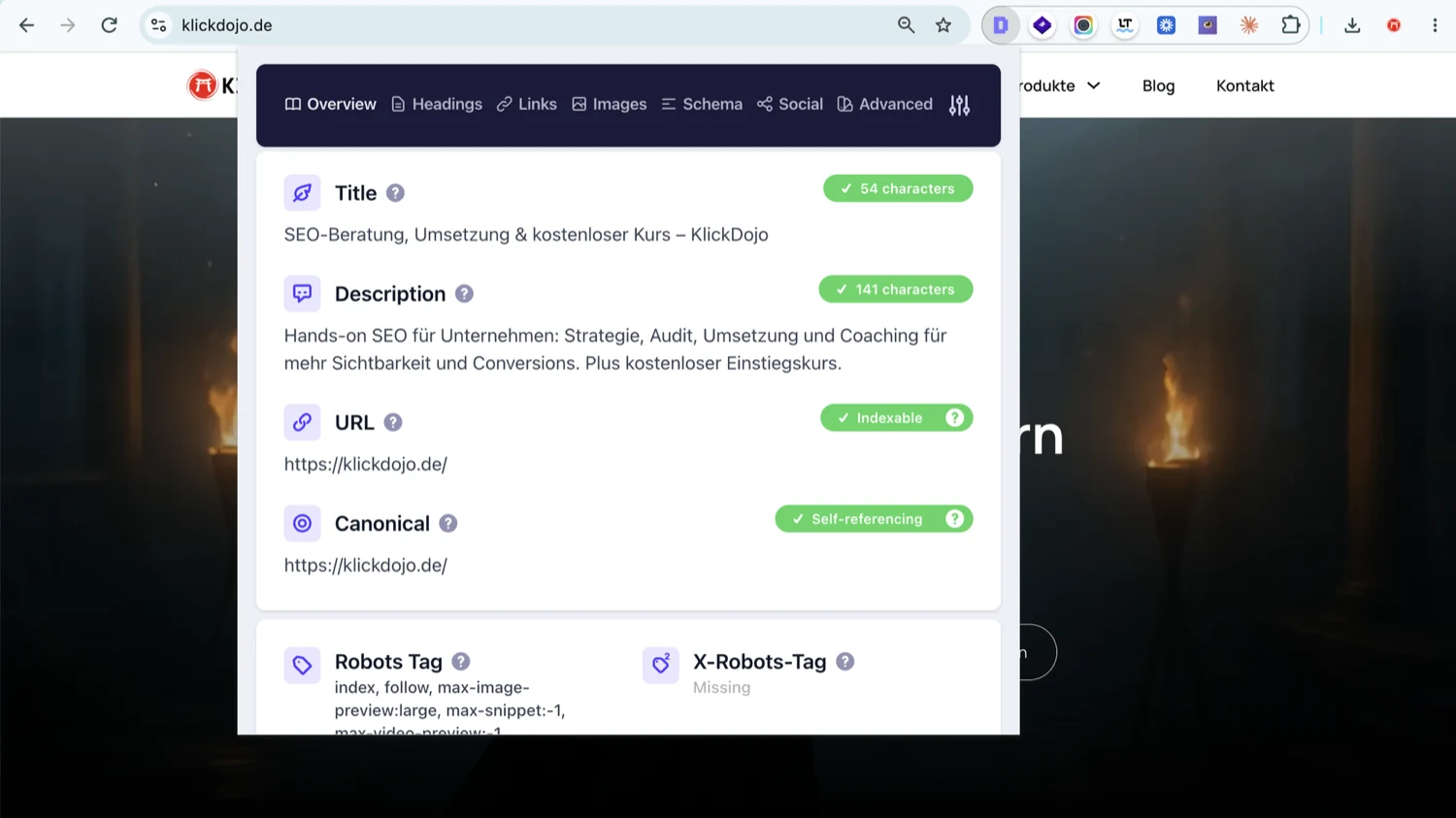 Detailed SEO Extension, Overview-Tab auf klickdojo.de